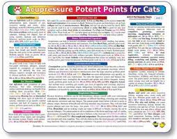 Kemah Acupressure Potent Points For Cats A Double Sided Uv