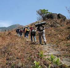 Image result for saputara trekking