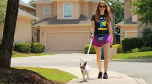 Maybe you would like to learn more about one of these? Pet Sitting Pup Pup And Away Sa