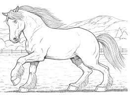 A Clydesdale Horse Coloring Books Horse Coloring Horse Coloring Pages