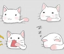 Lucky Star Kawaii Pesquisa Google Cat Phone Wallpaper Anime Animals Neko Cat