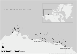 Global Change Driven Use Of Onshore Habitat Impacts Polar