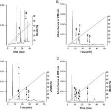 Roger Lema-Kisoka's research works