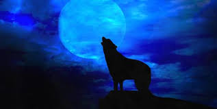 Despite his lofty status, zhu you wen is motivated by a strong sense of. 17 Best Werewolf Movies To Watch This Halloween Classic Werewolf Movies