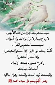 Pin By فلسطينية ولي الفخر On صباح الشهد والعسل صباح الحب والغزل صباح مصحوب بالامل صباح الورد يا عسل Sweet Words Morning Quotes Words
