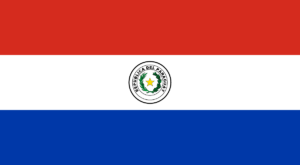 Bandera fabricada en poliéster de 110 grs. Bandera De Paraguay Historia Y Significado