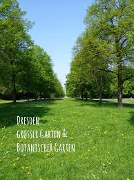 Unterwegs Und Kaffee Und Kuchen Dresden Grosser Garten Botanischer Garten Botanischer Garten Grosser Garten Garten