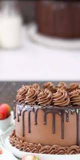 The Best Chocolate Cake Recipe In 2020 Chocolate Cake Recipe Amazing Chocolate Cake Recipe Best Chocolate Cake