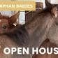 Meet the Foals – Open House event image