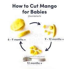 Babies readily eat cereal, cooked noodles, soft breads, and rice. Mango For Babies First Foods For Baby Solid Starts