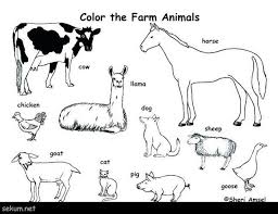 Preschool farm animal coloring pages printable. 25 Amazing Picture Of Printable Animal Coloring Pages Albanysinsanity Com Farm Animal Coloring Pages Zoo Animal Coloring Pages Animal Coloring Pages