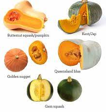 Fruits And Vegetables Vocabulary In English Eslbuzz Learning English Winter Squash Recipes Fresh Pumpkin Recipes Pumpkin Recipes