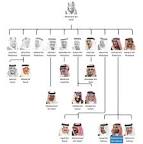 Image of Saudi royal family tree