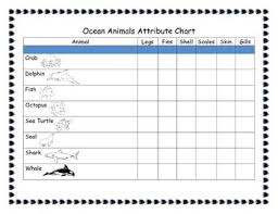 ocean animals attribute chart