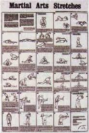 Martial Arts Stretches Poster Chart By Stretching Amazon Co