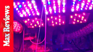 We did not find results for: Top 3 Best Led Grow Light In 2020 Youtube