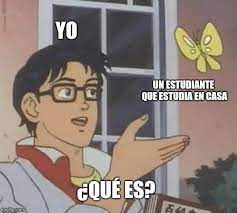 Pin By Absalom O Neil On Mis Memes En Espanol Taurus Memes Memes Relatable