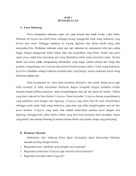 Proposal merupakan rancangan suatu kegiatan yang akan dilaksanakan disajikan dengan bentuk tulisan dengan sistematis dan terperinci. 10 Contoh Latar Belakang Proposal Kegiatan Usaha Dll Doc