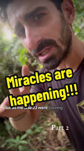 Save the Amazon Rainforest and Protect Wildlife