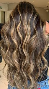 Start with a bottom section and undo it from its elastic or clip. 63 Charming Hair Colour Ideas Hairstyles Dark Hair With Butter Blonde Hair