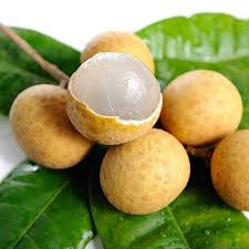 Maybe you would like to learn more about one of these? Longan Trees For Sale Fastgrowingtrees Com