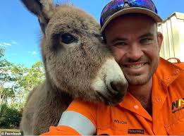 Outback Wrangler star dies in helicopter crash in remote part of Northern  Territory aged 34