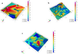 Image result for Dictyophleba lucida