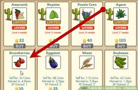 How To Get A Lot Of Money On Farmville 7 Steps With Pictures