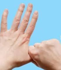 Veja mais ideias sobre cravos, flor da moda, tatuagem de cravo. Pin Em Belas