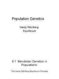 From s3.studylib.net answer key hardy weinberg problem set p2 + 2pq + q2 = 1 and p + q = 1 p = frequency of the dominant allele in the population q = frequency of the key ap biology biology 115 at austin college, sherman texas 1. Population Genet Fitness Biology Zygosity
