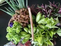 Send flowers to the philippines easily with flowerstore.ph. Up Los Banos Proposes Edible Landscaping As Healthy Food Source Solution Good News Pilipinas