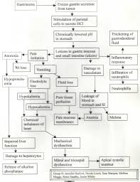 59 Punctilious Digestive Secretions Chart