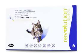 The good news about heartworm in cats is that it's extremely easy to prevent. Revolution Flea Worm Control For Cats Kittens 6 Pack