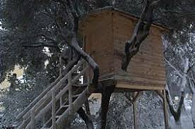 Construction De Cabane Materiaux Plans Legislation Des Cabanes Le Webmagazine Specialiste Cabane Bois Maison Dans Les Arbres Comment Construire Une Cabane
