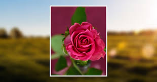 Edna Fay Kelley Obituary January 9, 2022