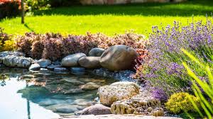 Auf unserer plattform finden sie alles zu den aktuellen trends rund um freizeit, haus und garten. Gewasser Im Eigenen Garten Anlegen Bei Freizeit Haus