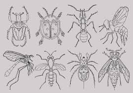 Bugs Clipart Insects Clipart Bugs Pen Drawing Summer Clipart Ant Dragonfly Bee Wasp Instant Download Digi Insect Clipart Bugs Drawing Bugs And Insects