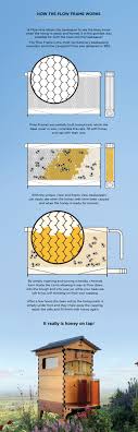 64 Precise Swedish Pimple Size Chart