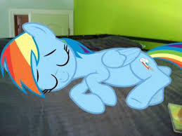 See more ideas about rainbow dash rainbow theme rainbow dash rainbow colors bedroom themes girls bedroom bedroom. Rainbow Dash S Sleeping In My Bed On My Room Youtube