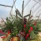 Holiday Log Planter Class Sunday Dec. 7th 2pm event in West Kingston, RI