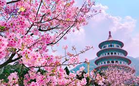 Từ đài loan cũng thường được dùng để chỉ lãnh thổ do nhà nước trung hoa dân quốc (thdq) quản lý, bao gồm đảo đài loan. Du Lá»‹ch Ä'ai Loan Thang 3 Nen Ä'i Ä'au Nhá»¯ng Lá»… Há»™i Tugo Com Vn