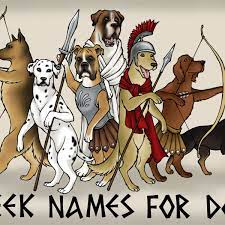 One of the key things about names in the 700s/800s is that people only had one name; 101 Male Greek God Names That Make Cool Dog Names Pethelpful