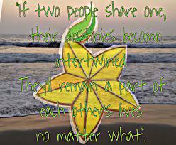 It resembles the star fruit. Paopu Fruit Quote Kingdom Hearts Farmer Pluto The Dog
