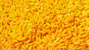 The grain known as golden rice was developed with the support of the rockefeller foundation and. Gmo Golden Rice Over Hyped Nutrition Claims Dismantled By None Other Than The Fda Naturalnews Com