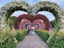 Flowers are precious beauty of nature, which gives expression to our emotions. Dubai Miracle Garden Pictures Download Free Images On Unsplash