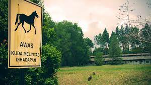 The ranch, gohtong jaya, nr. The Ranch Things To Do In Genting Highlands Kuala Lumpur