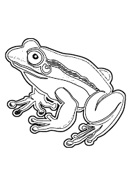 42 Ausmalbilder Frosch Coloring Pages