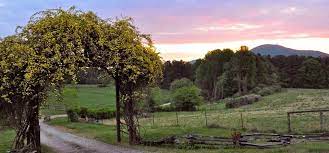Montara Farm In Clermont Ga Coorporate And Group Retreats A New Destination Wedding Venue Destination Wedding Venues Clermont Wedding Venues