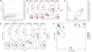About alc platform sdn bhd. Frontiers Insights Into The Resistome Of Bovine Clinical Mastitis Microbiome A Key Factor In Disease Complication Microbiology