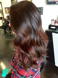 Dark brown auburn is a very charming deep shade with a soft russet touch. Auburn Highlights On Dark Brown Hair Hair Color Balayage Hair Styles Balayage Hair